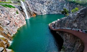 上海辰山植物園獲究院綜合設(shè)計(jì)類專業(yè)組榮譽(yù)獎