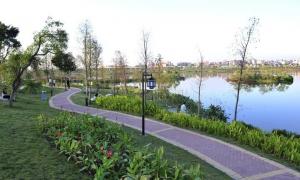 廣州碧道工程的雨洪調蓄湖情況